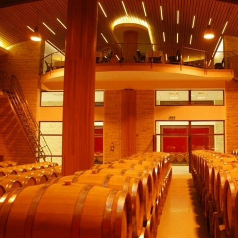 Degustare de vinuri la crama Budureasca